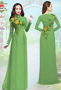 Mẫu hoa hồng 2066 AD 2066