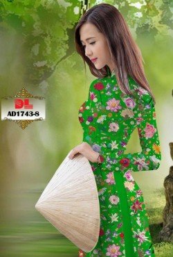 Vải áo dài hoa nguyên áo 1743 AD 1743