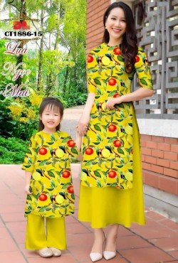 Vải áo dài cách tân 1886 CT 1886