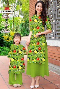 Vải áo dài cách tân 1886 CT 1886